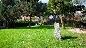 usługi ogrodnicze kraków