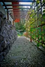 usługi ogrodnicze kraków