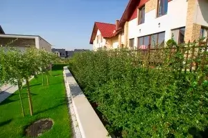 usługi ogrodnicze kraków