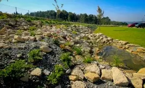 usługi ogrodnicze kraków