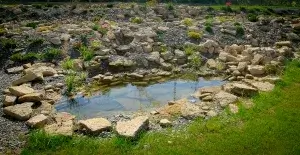 usługi ogrodnicze kraków